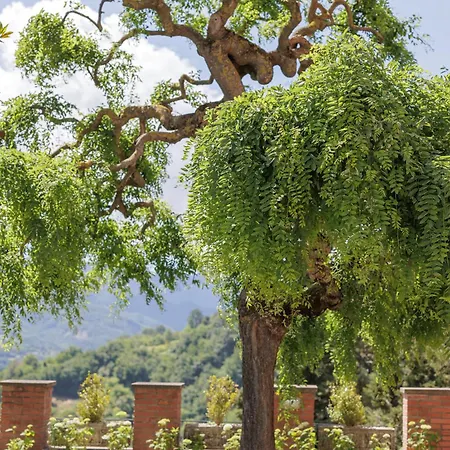 빌라 Castello Alidosi *