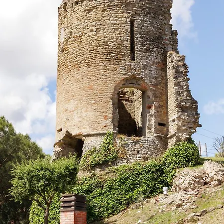 Castello Alidosi