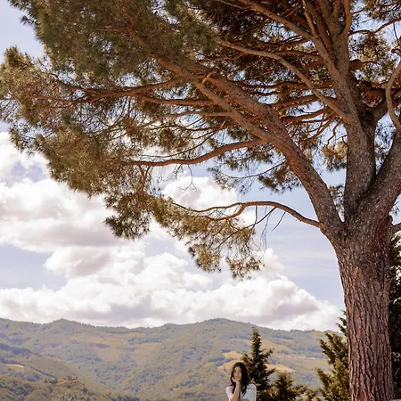 Castello Alidosi Vila Castel del Rio