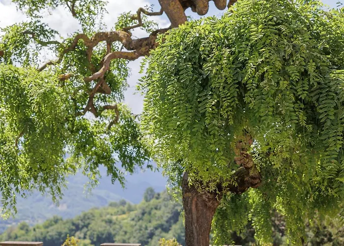 Вилла Castello Alidosi *